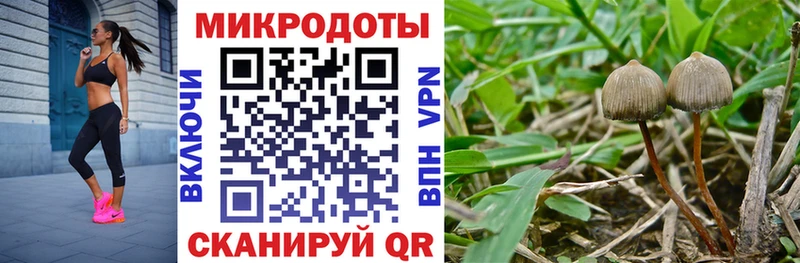 Галлюциногенные грибы MAGIC MUSHROOMS  продажа наркотиков  МЕГА как войти  Переславль-Залесский 